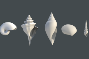 Procedual-Generated Shell